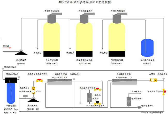 RO-250双级反渗透纯水机工艺流程图